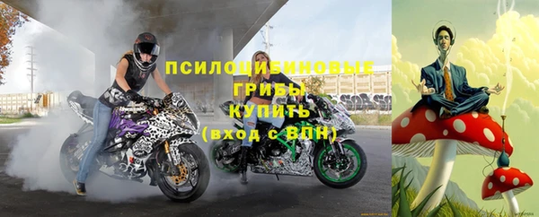 мет Алексин