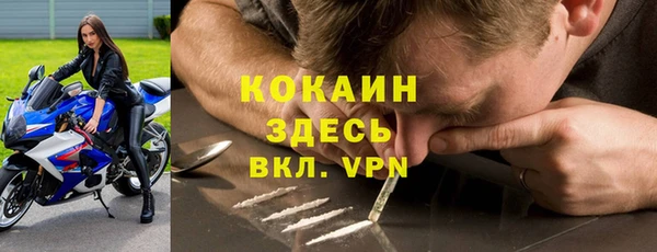 мет Алексин