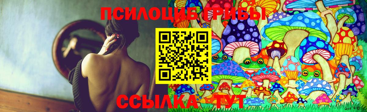 Галлюциногенные грибы Cubensis  Галлюциногенные грибы мухоморы  Алексеевка  Вход с VPN 